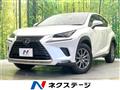 2020 Lexus NX