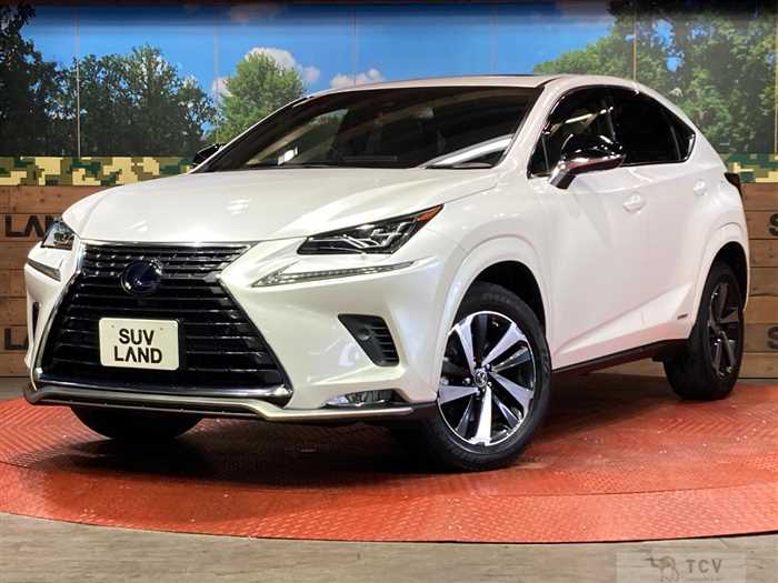 2020 Lexus NX