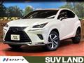 2020 Lexus NX