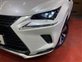 2020 Lexus NX