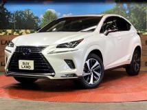 2020 Lexus NX