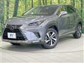 2020 Lexus NX