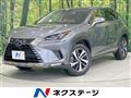2020 Lexus NX