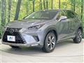2020 Lexus NX