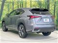 2020 Lexus NX