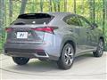 2020 Lexus NX