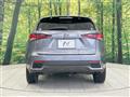2020 Lexus NX