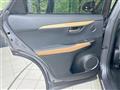 2020 Lexus NX