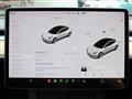 2021 Tesla Motors Others