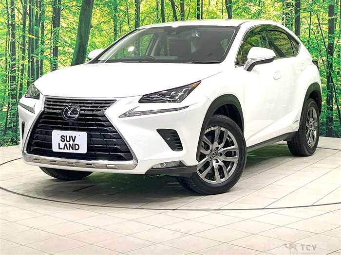 2021 Lexus NX