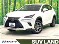 2021 Lexus NX