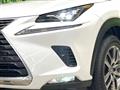 2021 Lexus NX