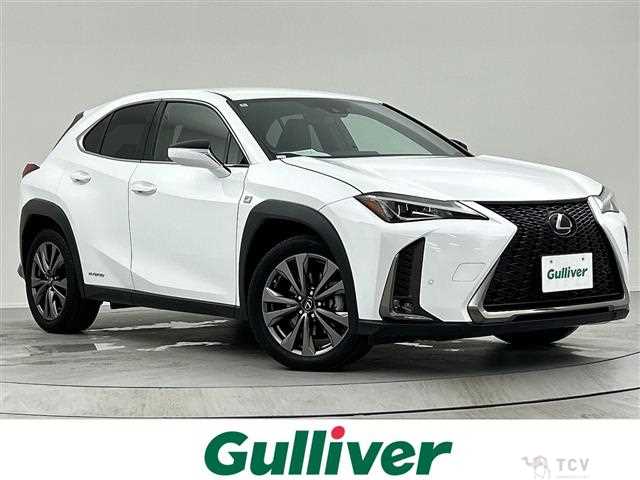 2020 Lexus UX