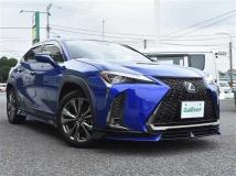 2019 Lexus UX
