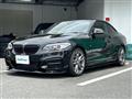 2015 BMW 2 Series