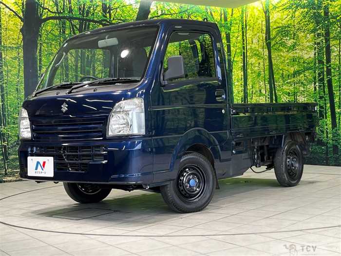 2016 Suzuki Carry Truck