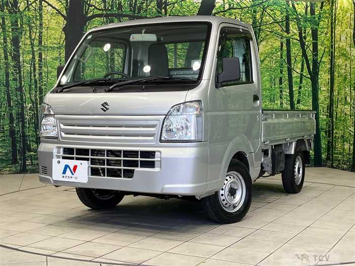 2019 Suzuki Carry Truck