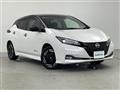 2022 Nissan Leaf