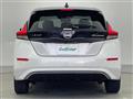 2022 Nissan Leaf