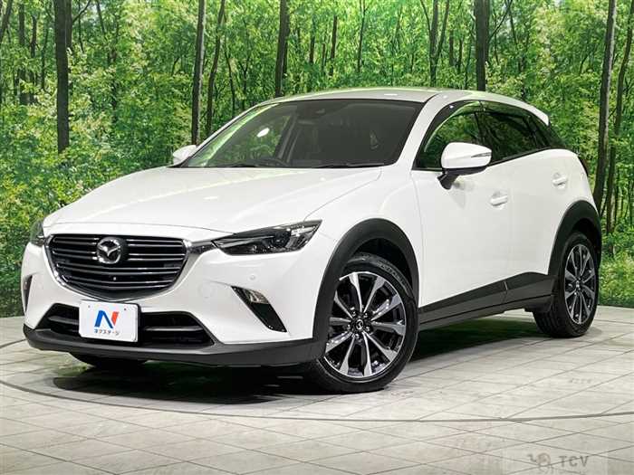 2019 Mazda CX-3