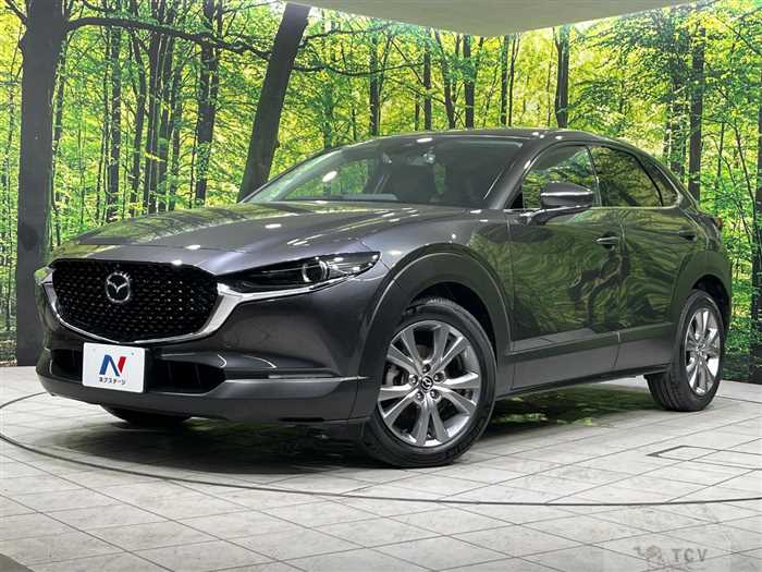 2019 Mazda Mazda Others