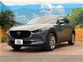 2020 Mazda Mazda Others