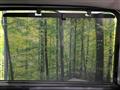 2024 Honda Freed