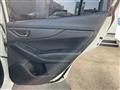 2017 Subaru Subaru Others