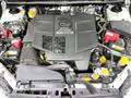 2013 Subaru Subaru Others