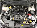 2019 Subaru Subaru Others