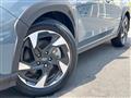 2023 Subaru Subaru Others