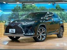 2021 Lexus RX