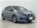 2019 Nissan Leaf