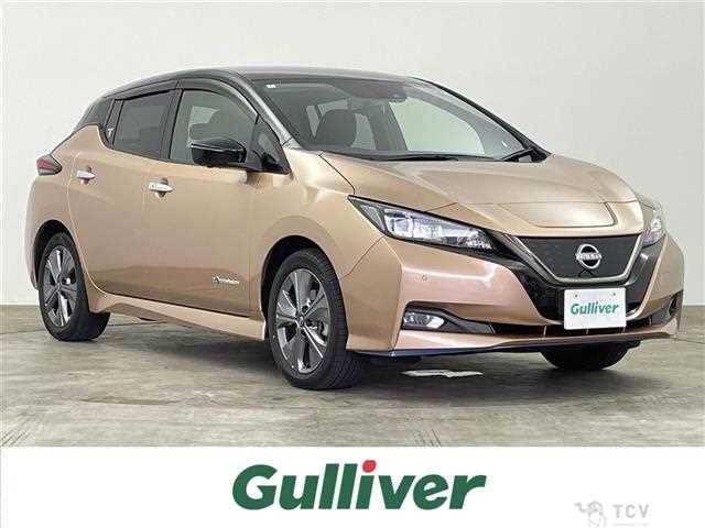 2022 Nissan Leaf