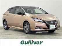 2022 Nissan Leaf