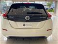 2020 Nissan Leaf