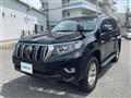 2019 Toyota Land Cruiser Prado