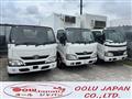 2013 Toyota Dyna Truck