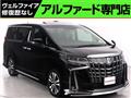 2019 Toyota Alphard G