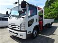 2019 Isuzu Isuzu Others