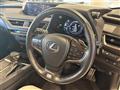 2019 Lexus UX