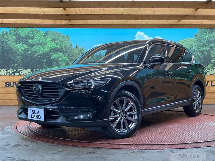 2019 Mazda CX-8