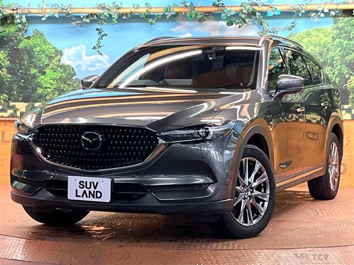 2021 Mazda CX-8