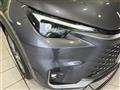 2024 Lexus Other