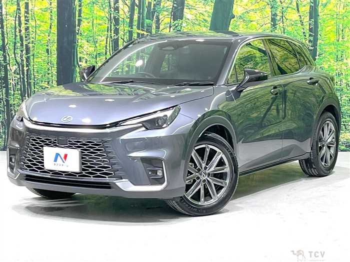 2024 Lexus Other