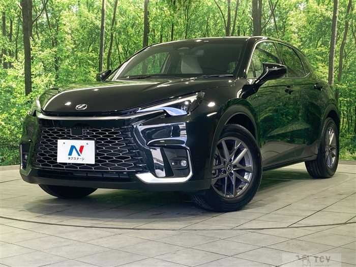 2025 Lexus Other
