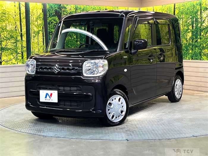 2019 Suzuki Spacia