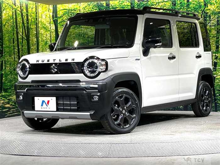 2025 Suzuki Hustler