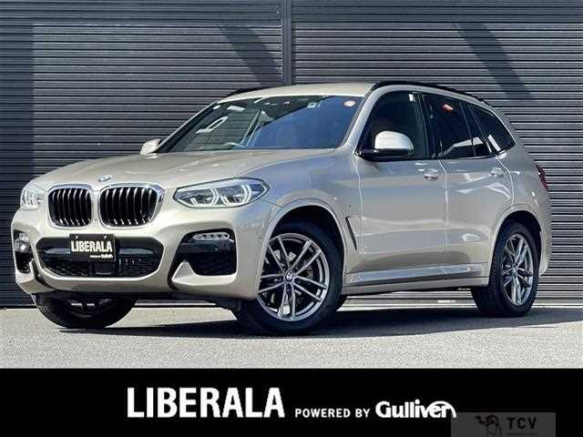 2019 BMW X3