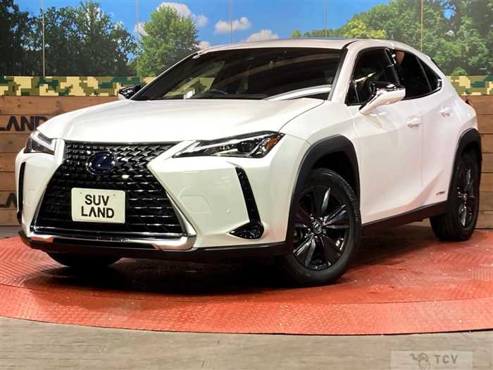 2020 Lexus Other